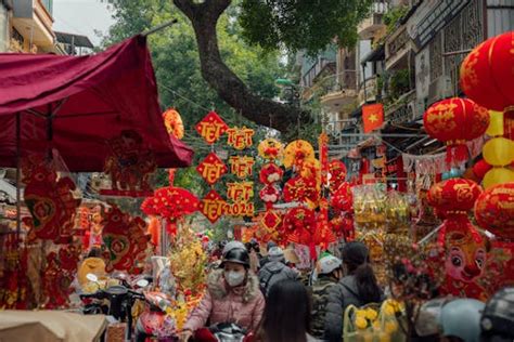 富貴吉祥 仙人掌放後陽台